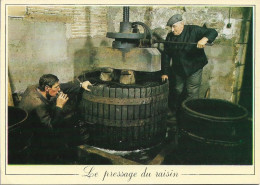 CP LES METIERS D'ANTAN. LE PRESSAGE DU RAISIN. 1989. - Autres & Non Classés