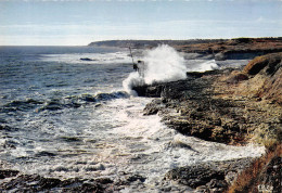 SAINT SORDELIN Environs De Royan.  Effets De Vagues   30 (scan Recto Verso)MG2852 - Royan