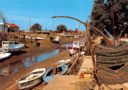 LA TREMBLADE   Echappée Vers Le Canal à Marée Basse   39 (scan Recto Verso)MG2852 - La Tremblade