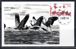 SWEDEN SVERIGE SVEZIA SUEDE 1978 BIRD FAUNA BIRDS CRANES LAKE HOMORGASJON 1.15k MAXI MAXIMUM CARD CARTE - Maximumkarten (MC)