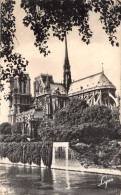 NOTRE DAME DE PARIS  Viollet-le-Duc Flèche Cathédrale église Christ Religion - Notre Dame De Paris