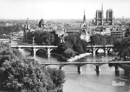 NOTRE DAME DE PARIS  Viollet-le-Duc Flèche Cathédrale église Christ Religion - Notre Dame Von Paris