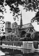 NOTRE DAME DE PARIS  Viollet-le-Duc Flèche Cathédrale église Christ Religion - Notre Dame De Paris