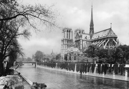 NOTRE DAME DE PARIS  Viollet-le-Duc Flèche Cathédrale église Christ Religion - Notre Dame De Paris