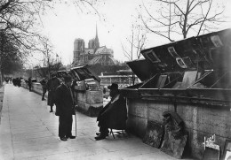 NOTRE DAME DE PARIS  Viollet-le-Duc Flèche Cathédrale église Christ Religion - Notre Dame De Paris