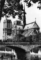 NOTRE DAME DE PARIS  Viollet-le-Duc Flèche Cathédrale église Christ Religion  - Notre Dame Von Paris