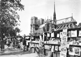 NOTRE DAME DE PARIS  Viollet-le-Duc Flèche église Cathédrale Et Bouquinistes - Notre Dame De Paris