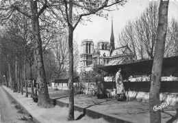 NOTRE DAME DE PARIS  Viollet-le-Duc Flèche église Cathédrale Vue Générale Et Bouquinistes - Notre Dame Von Paris