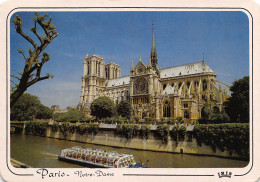 NOTRE DAME DE PARIS  Viollet-le-Duc Flèche église Cathédrale Abside - Notre Dame Von Paris