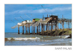 SAINT PALAIS SUR MER   Les Cabanes De Pêcheurs   18 (scan Recto Verso)MG2853 - Saint-Palais-sur-Mer