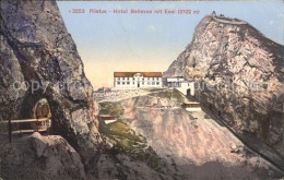 11737172 Pilatus Hotel Bellevue Mit Esel Pilatus - Other & Unclassified