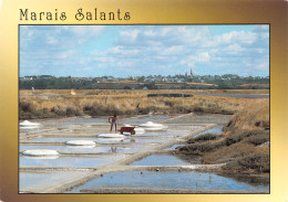 GUERANDE   Les Marais Salants   40 (scan Recto Verso)MG2864 - Guérande