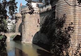 NANTES   Le Château Des Ducs, Les Douves  18 (scan Recto Verso)MG2866 - Nantes