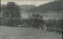 11737061 Aegerisee Aegerisee Unteraegeri Unter-Aegeri ZG Blick Vom Buehlhof  - Sonstige & Ohne Zuordnung