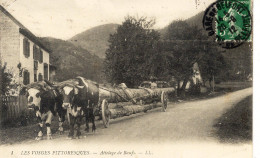 Attelage De Boeufs : Transport Du Bois      ///  Ref. Mai 24 /// BO. 90 - Autres & Non Classés