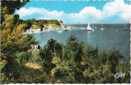 CPSM. 17 ÎLE DE Ré. LES PORTES. LE FIER. ANSE DE TROUSSE CHEMISE. - Ile De Ré