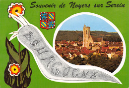 NOYERS SUR SEREIN  Vue Générale  20 (scan Recto Verso)MG2869 - Noyers Sur Serein