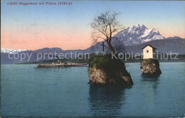 11736954 Vierwaldstaettersee SZ Meggenhorn Mit Pilatus Brunnen - Autres & Non Classés