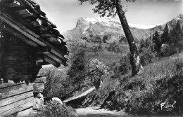 Désert De Platé, Sur La Commune De Passy.  Un Vieux Chalet Et Les Aiguilles De Warens   31   (scan Recto Verso)MG2872UND - Saint-Jeoire