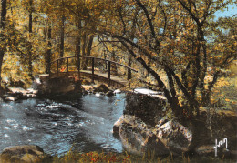 AVALLON   La Vallée Du Cousin, Le Pont Des Gardes   14 (scan Recto Verso)MG2873 - Avallon