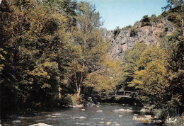 AVALLON   La Vallée Du Cousin, Le Pont Des Gardes   15 (scan Recto Verso)MG2873 - Avallon