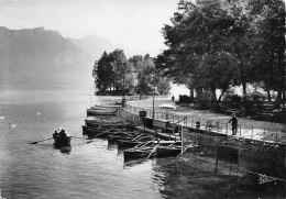 ANNECY-le Jardin Public Ile Des Cygnes Et La Tournette 31 (scan Recto Verso)MG2874BIS - Annecy