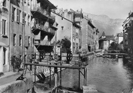 ANNECY- Vieux Quarliers Quai De L'eveche Et Le THIOU  38 (scan Recto Verso)MG2874BIS - Annecy