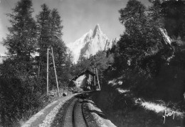 Chamonix-Mont-Blanc  L'aiguille Du Dru Vue Du Chemin De Fer    49   (scan Recto Verso)MG2874TER  - Chamonix-Mont-Blanc