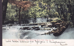 United States PPC Trout Fishing. Wilderness Pool, Blooming Grove Park, Pike Co. Pa. GLEN EYRE 1911 Denmark (2 Scans) - Autres & Non Classés