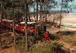 ILE D'OLERON SAINT-TROJAN Le Petit Train Touristique Dans La Forêt En Bordure De La Plage  6 (scan Recto Verso)MG2878 - Ile D'Oléron