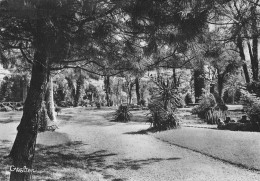 BERNAY Le Jardin Public 42  (scan Recto Verso)MG2878UND - Bernay