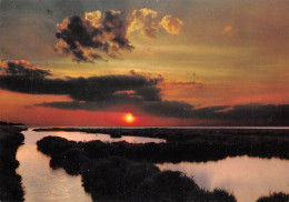 BOUCHES DU RHONE  Coucher De Soleil En CAMARGUE 20 (scan Recto Verso)MG2881 - Otros & Sin Clasificación