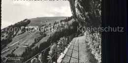 11736674 Rigi Kaltbad Mit Felsenweg Rigi Kaltbad - Andere & Zonder Classificatie