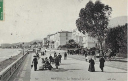 C/280                 06    Menton    -   La Promenade Du Midi - Menton