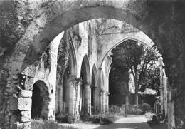 JUMIEGES Les Ruines De L'abbaye  7  (scan Recto Verso)MG2886UND - Jumieges