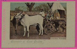 Ag3870  - INDIA - VINTAGE POSTCARD  - Indios Transport - India