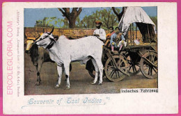 Ag3871  - INDIA - VINTAGE POSTCARD  - Indios Transport - India