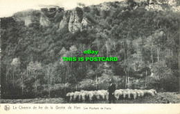 R609466 Le Chemin De Fer De La Grotte De Han. Les Rochers De Faule. Nels - Monde