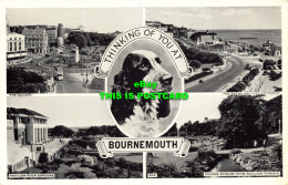 R608915 Thinking Of You At Bournemouth. The Square. The Baths And Pier Entrance. - Monde