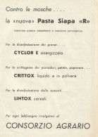 Contro Le Mosche...Pasta Siapa R - Pubblicità 1961 - Advertising - Publicités