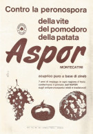 ASPOR - Montecatini - Pubblicità 1961 - Advertising - Pubblicitari