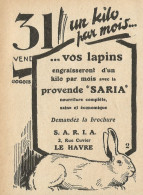 Un Kilo Par Mois....vos Lapins - Pubblicità 1929 - Advertising - Werbung
