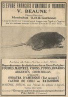 Elevage Français D'animaux A Fourrure - Pubblicità 1928 - Advertising - Reclame