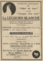 Elevage Du Grand Moulin La Leghorn Blanche - Pubblicità 1928 - Advertising - Reclame