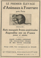 La Premier èlevage D'animaux A Fourrure - Pubblicità 1929 - Advertising - Advertising