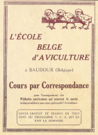 L'ècole Belge D'aviculture - Pubblicità 1922 - Advertising - Reclame