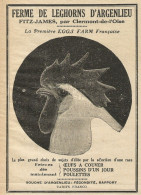 Ferme De Leghorns D'Argenlieu - Pubblicità 1929 - Advertising - Advertising