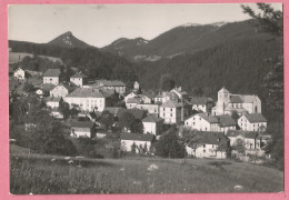 SAS0280  CPSM  JOUGNE  (Doubs)   Alt. 1 020 M  - PHOTO STAINACRE  Pontarlier  ++++ - Autres & Non Classés