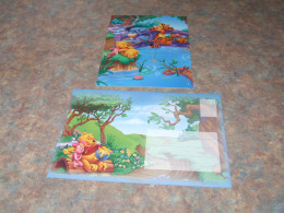 75428-         CARD WITH ENVELOPE, DISNEY, WINNIE THE POOH - Disneyworld