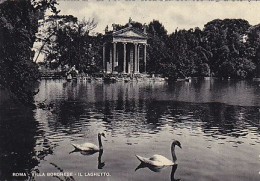 AK 216842 ITALY - Roma - Ville Borghese - Il Laghetto - Otros Monumentos Y Edificios